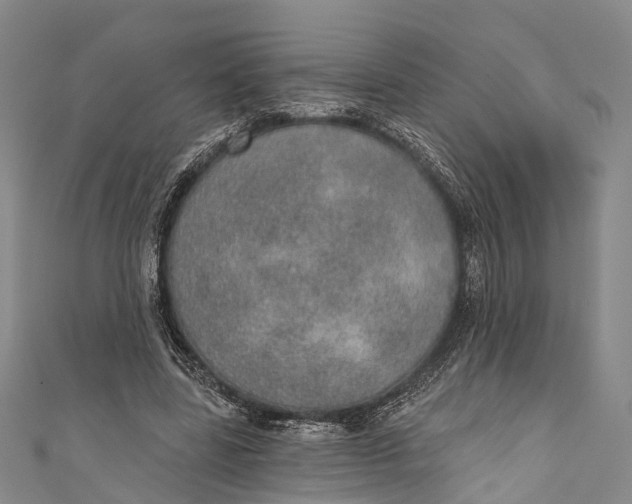 X0000110980539200907101412