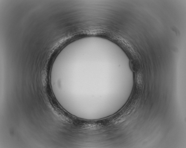 X0000110980540200907101412