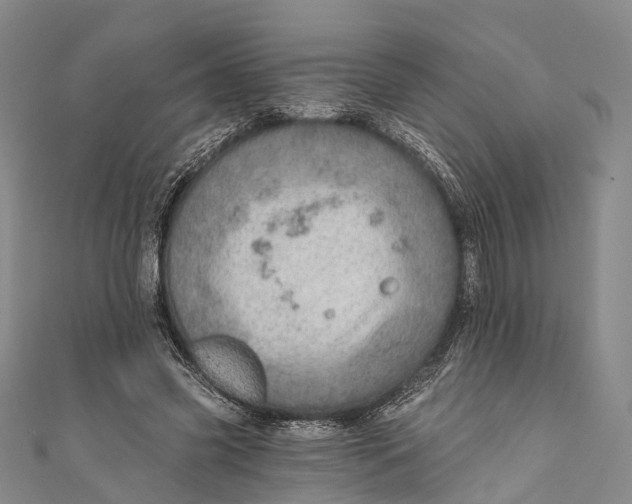 X0000110980541200907101412