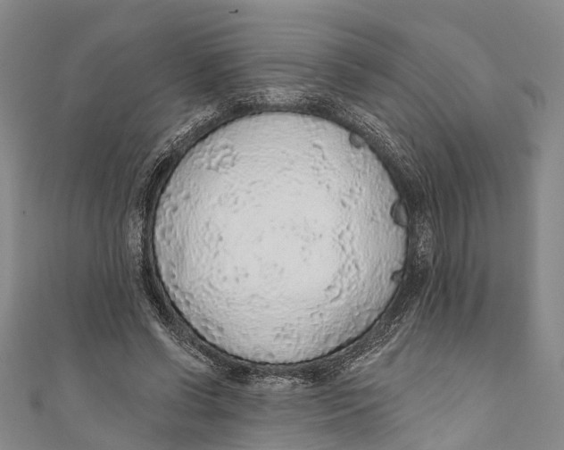 X0000110980542200907101412