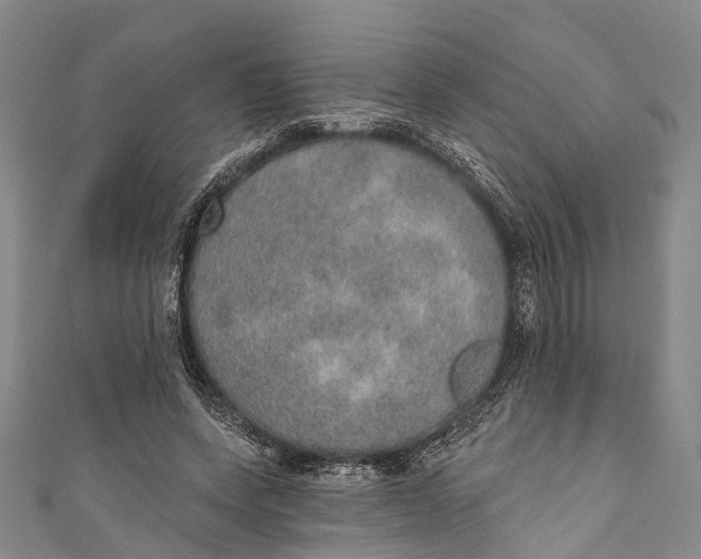 X0000110980543200907101412