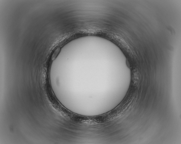 X0000110980544200907101412