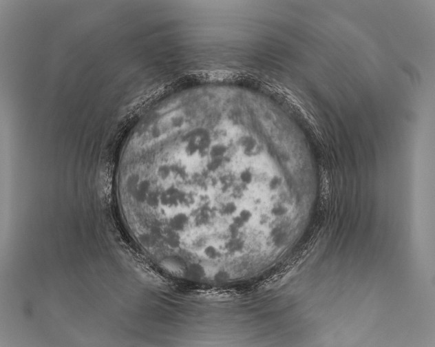 X0000110980545200907101412