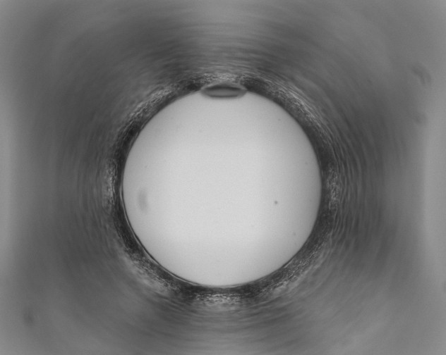 X0000110980546200907101412