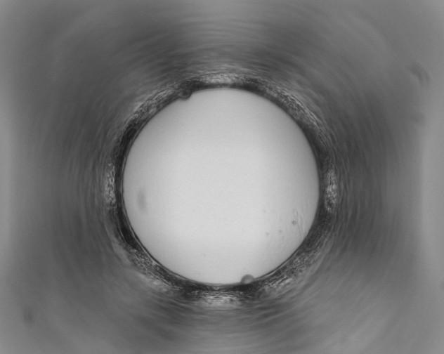 X0000110980547200907101412