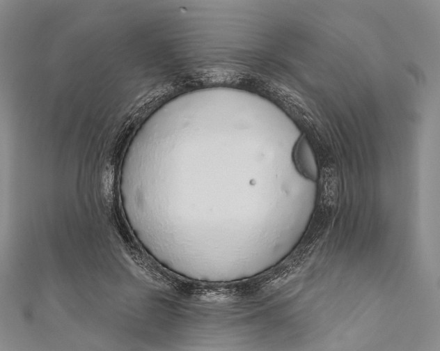 X0000110980550200907101412