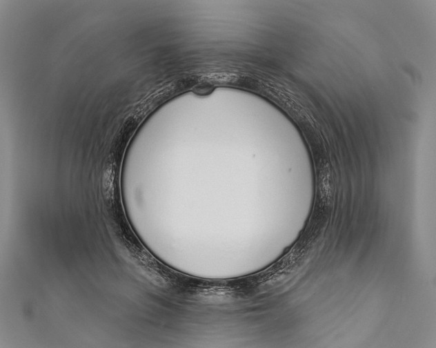 X0000110980551200907101412