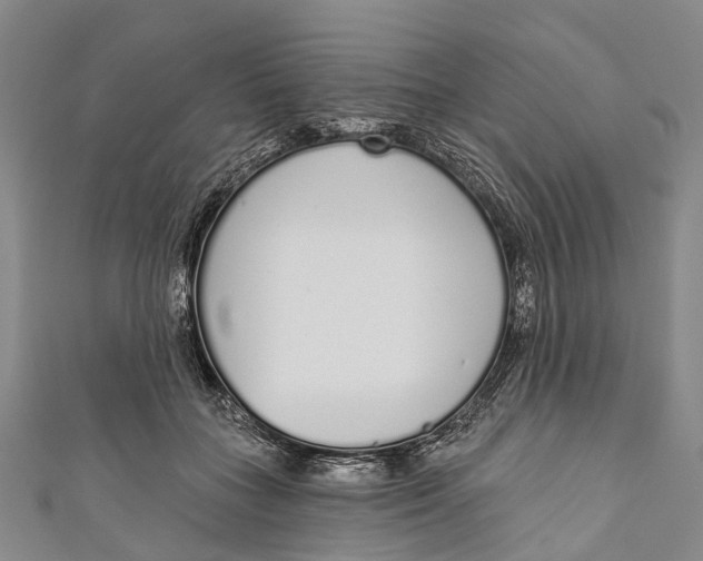 X0000110980555200907101412