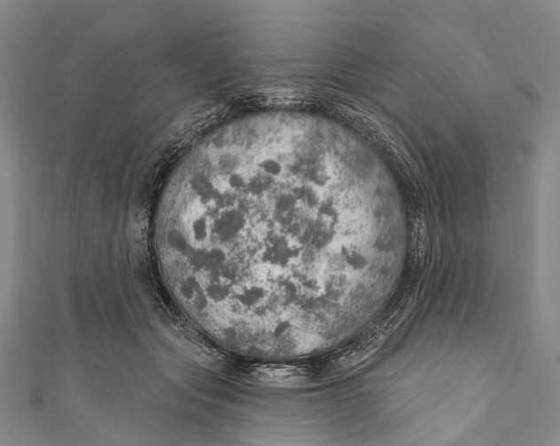 X0000110980557200907101412