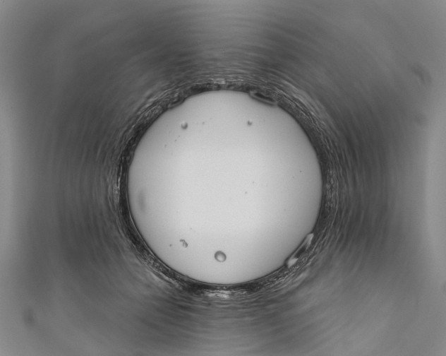 X0000110980558200907101412