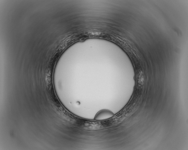 X0000110980559200907101412