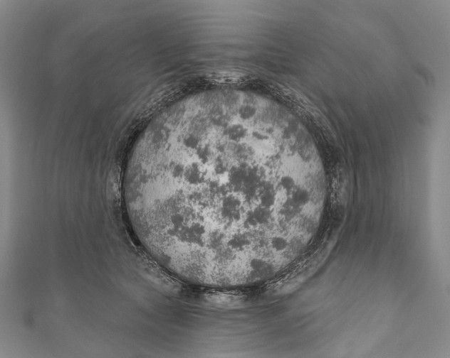 X0000110980561200907101412