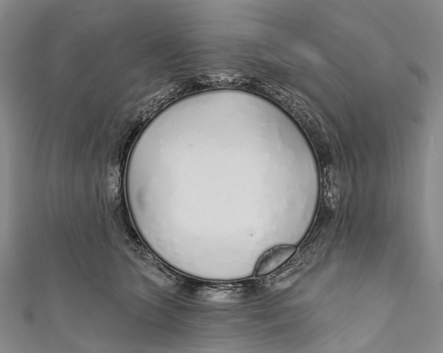 X0000110980563200907101412