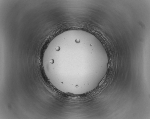 X0000110980564200907101412