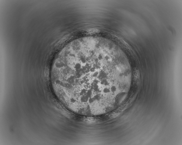 X0000110980565200907101412