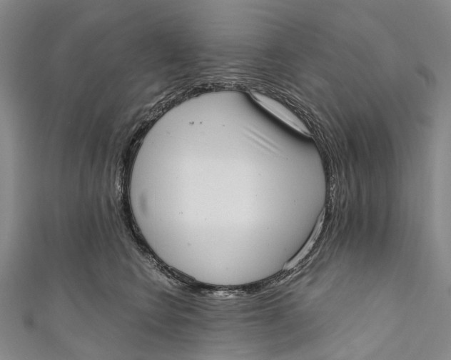 X0000110980566200907101412