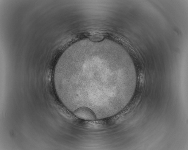 X0000110980567200907101412