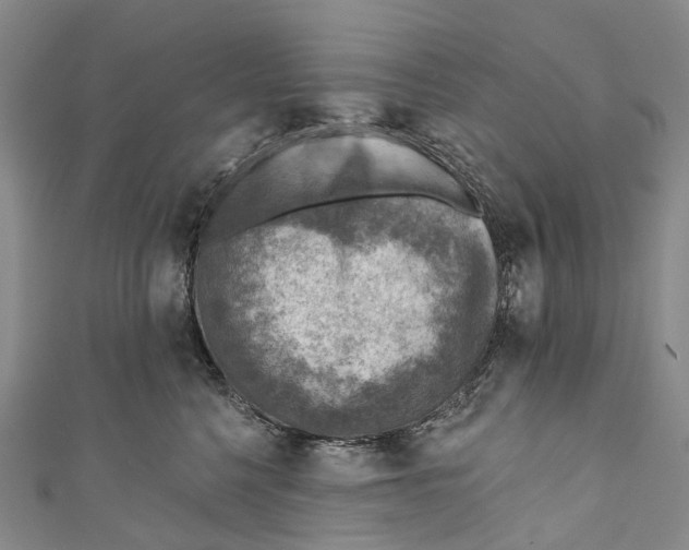 X0000110980568200907101412