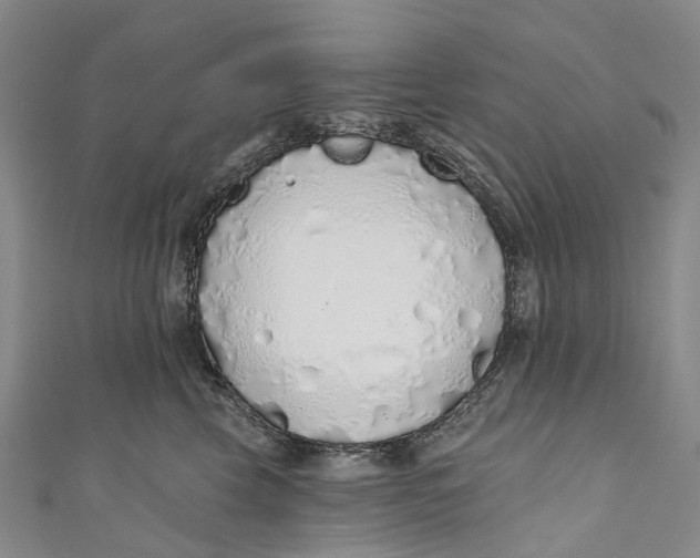 X0000110980569200907101412