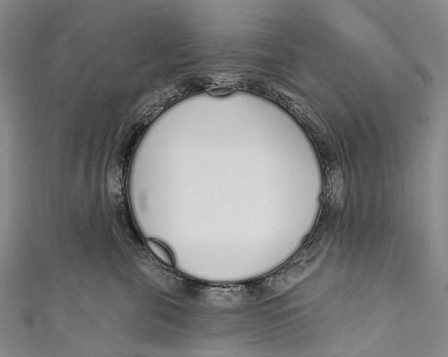 X0000110980571200907101413