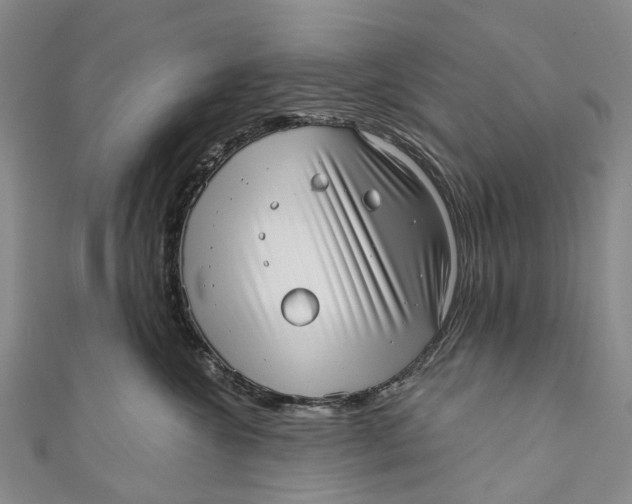 X0000110980572200907101413