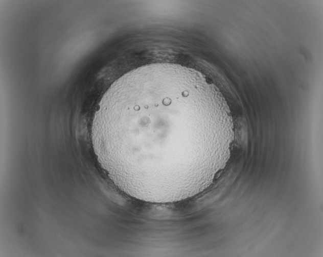 X0000110980573200907101413