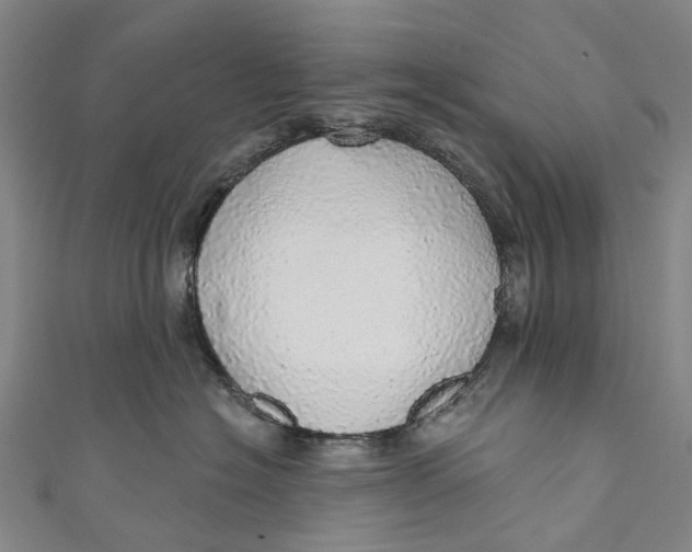 X0000110980574200907101413