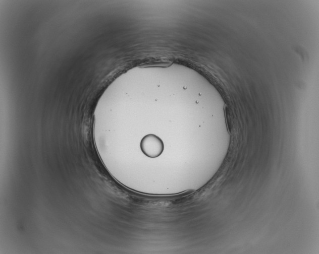 X0000110980576200907101413