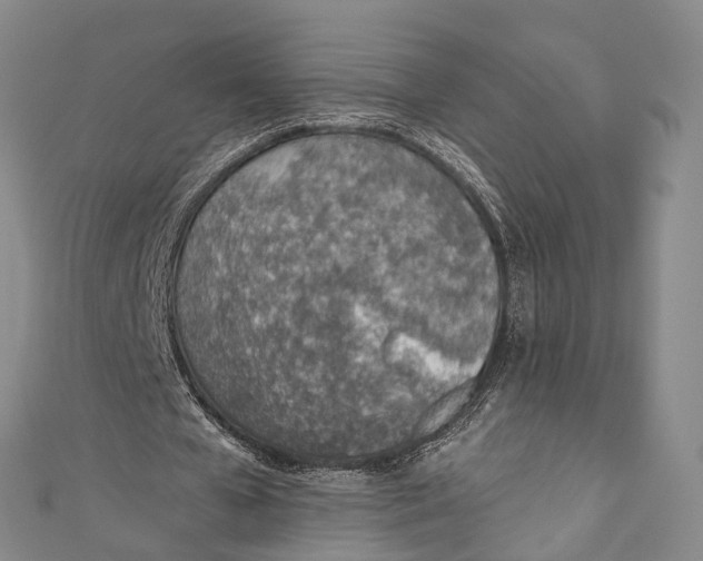 X0000110980577200907101412