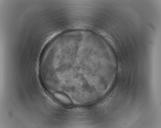 X0000110980578200907101412