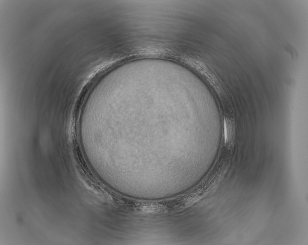 X0000110980579200907101412