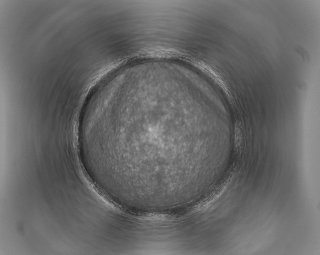 X0000110980581200907101412