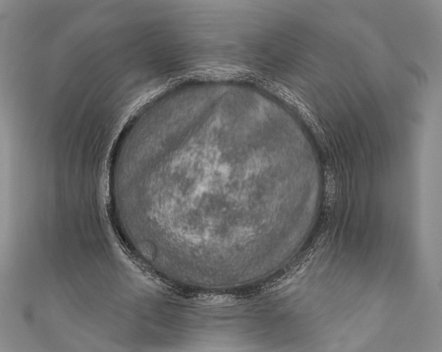 X0000110980582200907101412