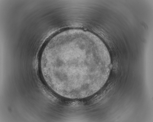 X0000110980584200907101412