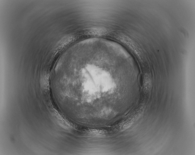 X0000110980585200907101412