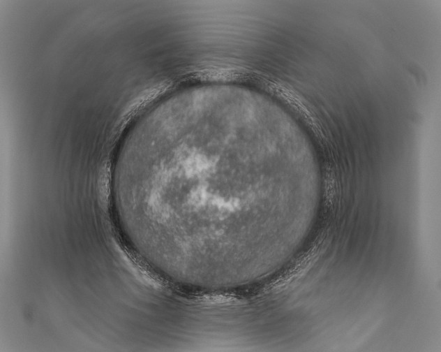 X0000110980586200907101412