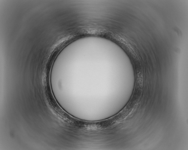 X0000110980587200907101412