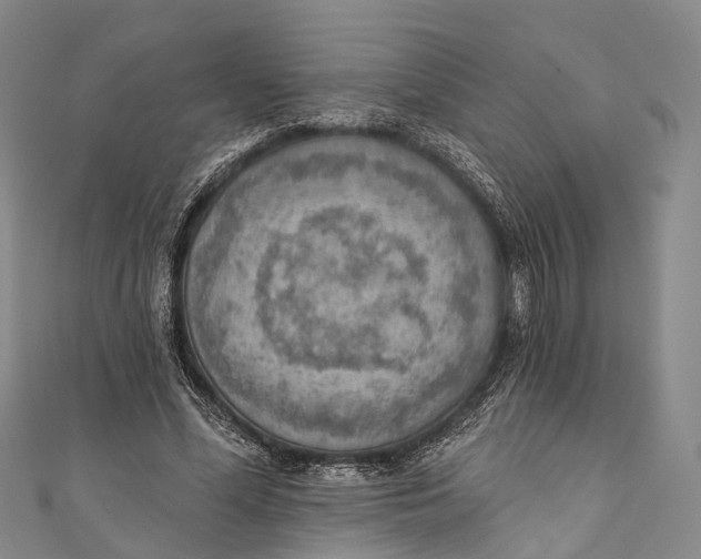 X0000110980588200907101412