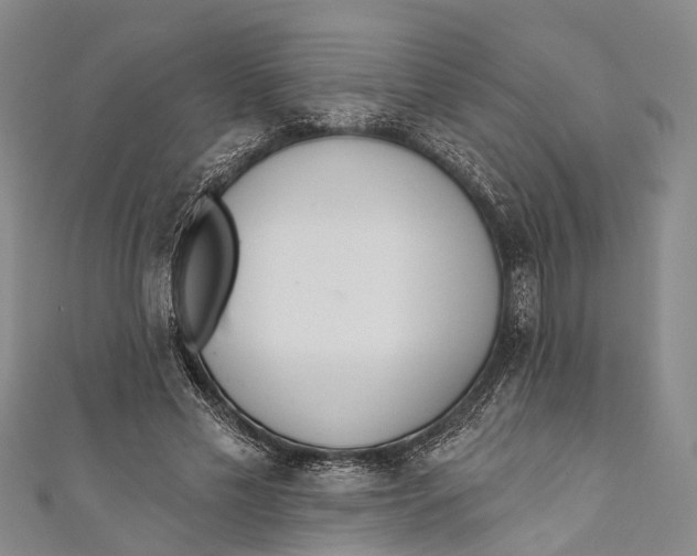 X0000110980589200907101412