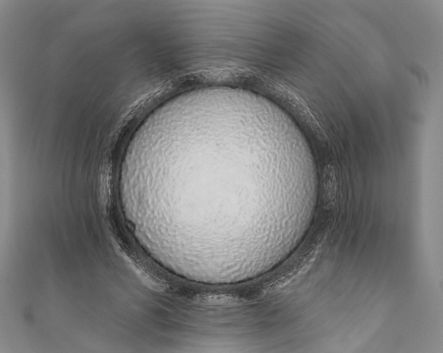 X0000110980590200907101412