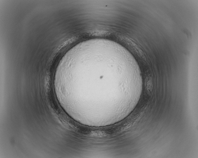 X0000110980591200907101412