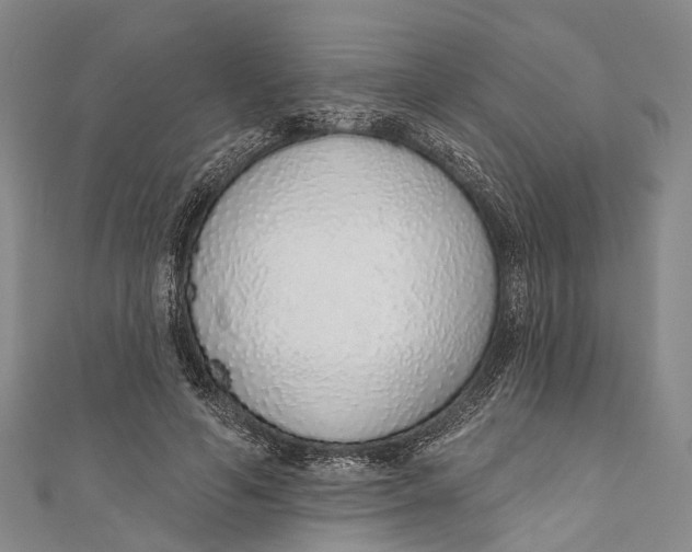 X0000110980594200907101412