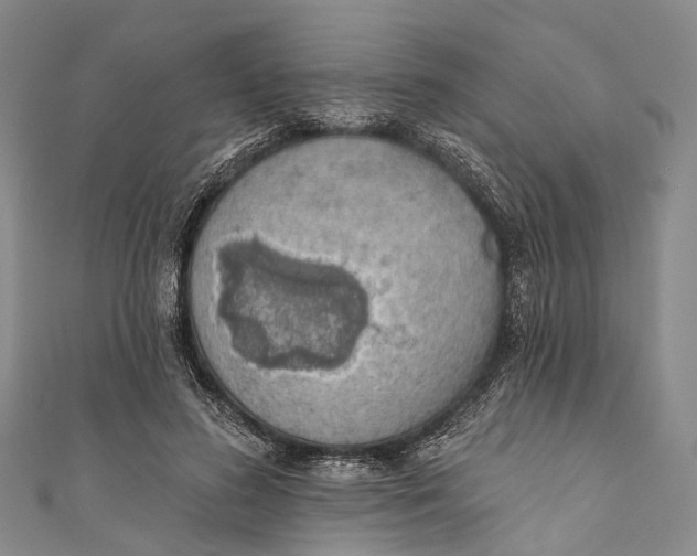 X0000110980596200907101412