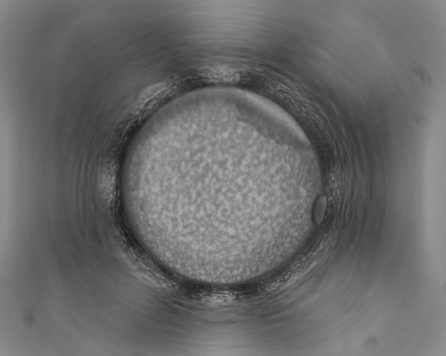 X0000110980600200907101412