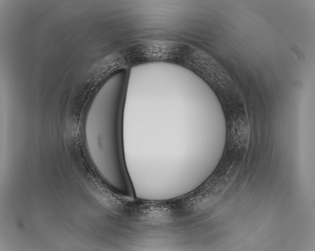 X0000110980601200907101412