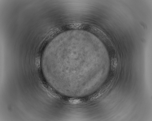 X0000110980602200907101412