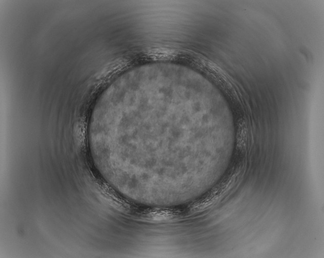 X0000110980604200907101412