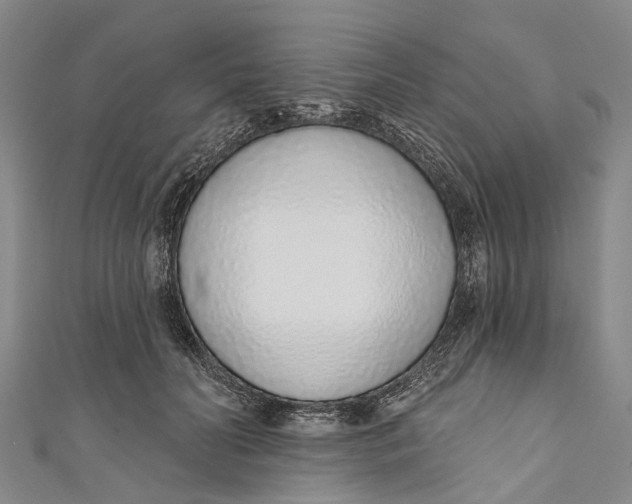 X0000110980606200907101411