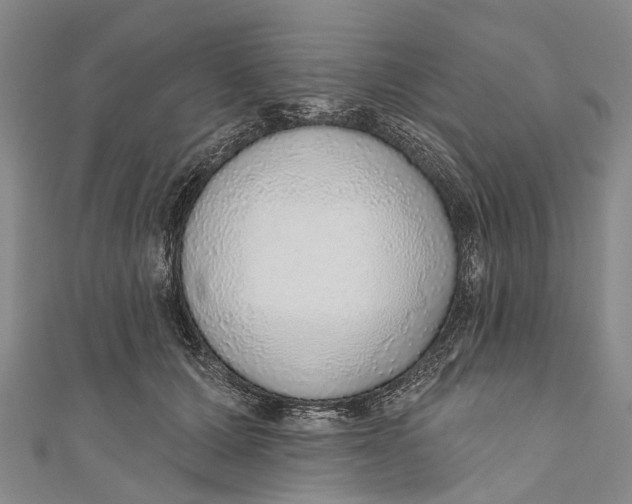 X0000110980607200907101411