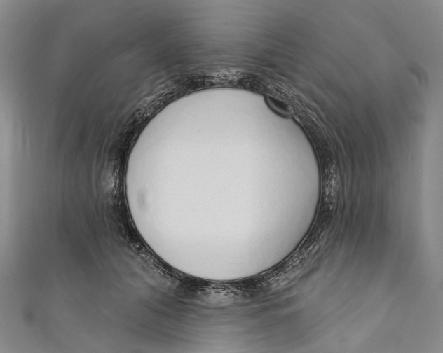 X0000110980608200907101411